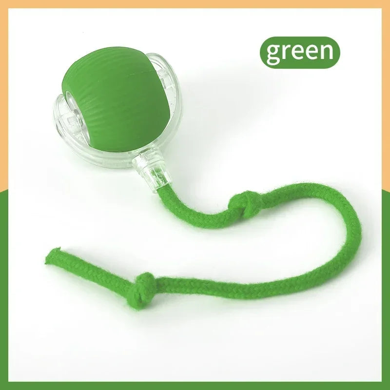 Smart Rolling Cat Toy