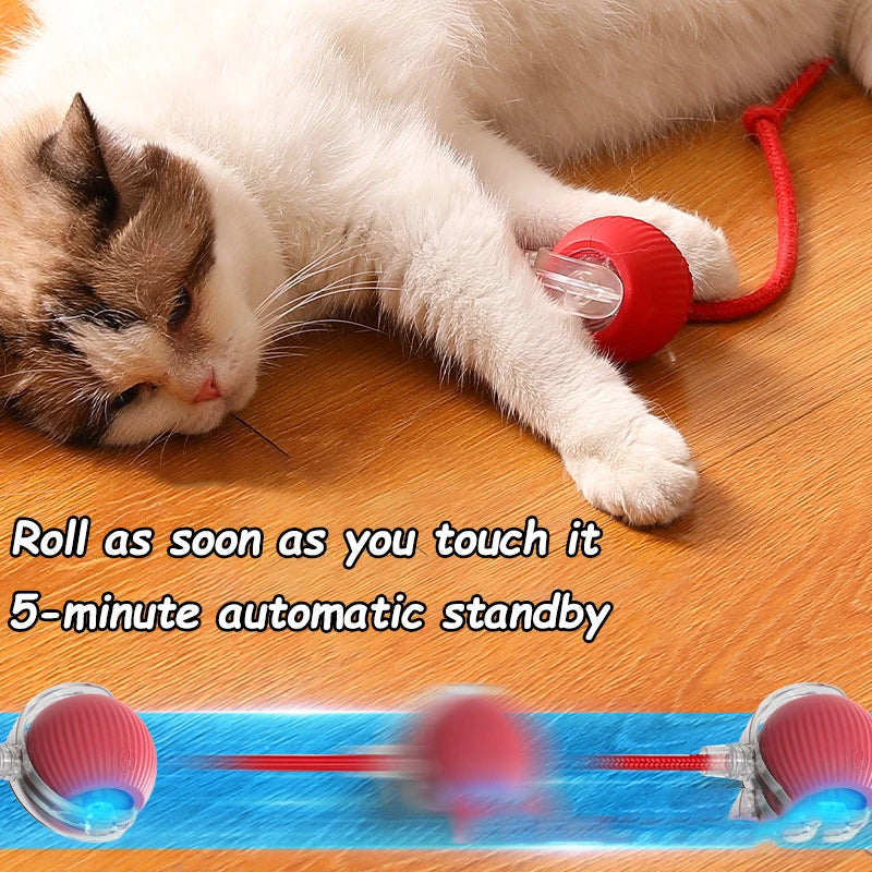 Smart Rolling Cat Toy