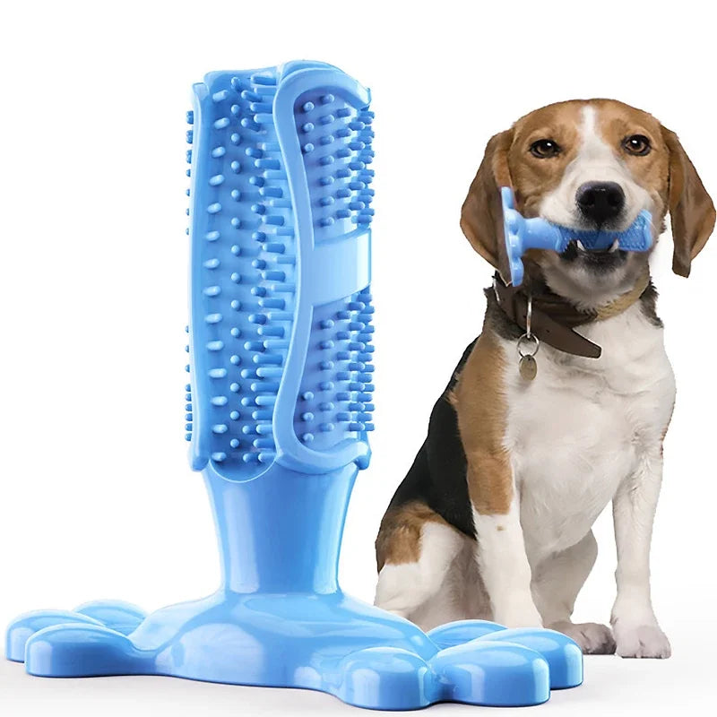 petique Joy, petiquejoy.com, Teeth Oral Cleaning Toy