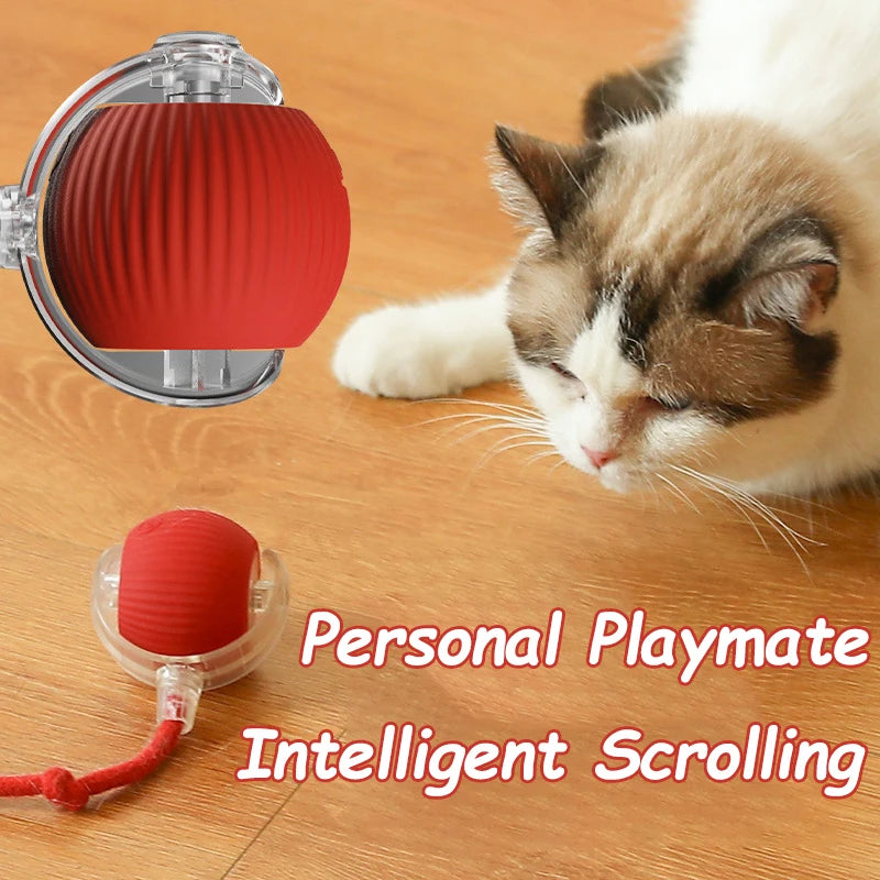 Smart Rolling Cat Toy