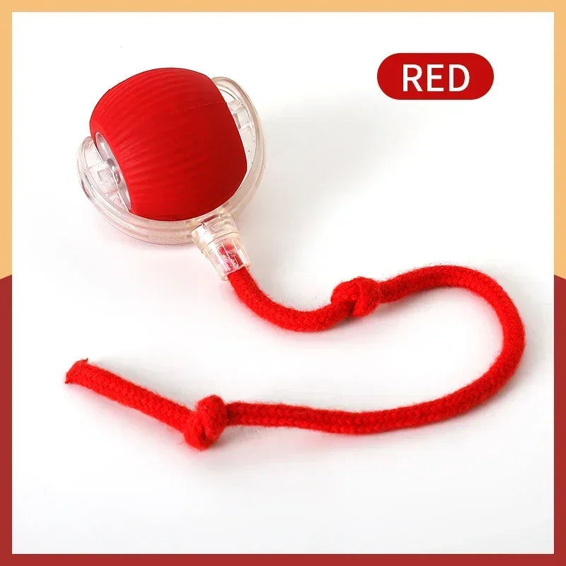 Smart Rolling Cat Toy