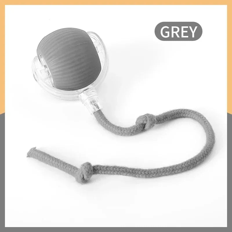 Smart Rolling Cat Toy