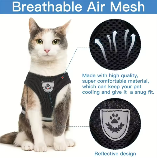 No-Escape Cat Harness & Leash Set – Soft, Secure & Adventure-Ready