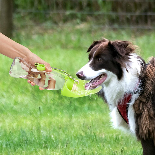 Portable Pet Water Dispenser Feeder