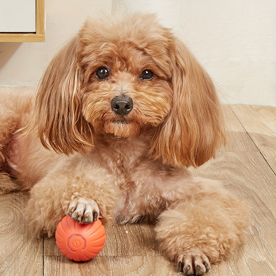 Automatic Rolling Ball Dog Toy - Interactive, USB Rechargeable, Durable Plastic | Blue & White, 1pc, for Small Dogs, Promotes Exercise