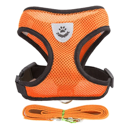 No-Escape Cat Harness & Leash Set – Soft, Secure & Adventure-Ready