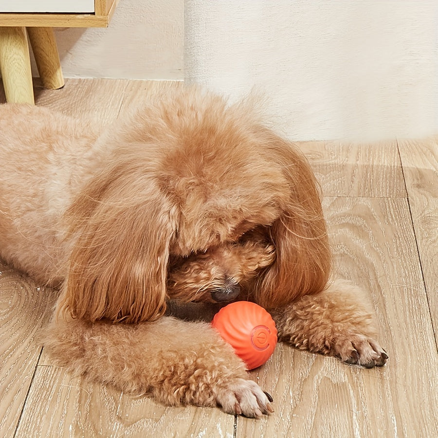 Automatic Rolling Ball Dog Toy - Interactive, USB Rechargeable, Durable Plastic | Blue & White, 1pc, for Small Dogs, Promotes Exercise