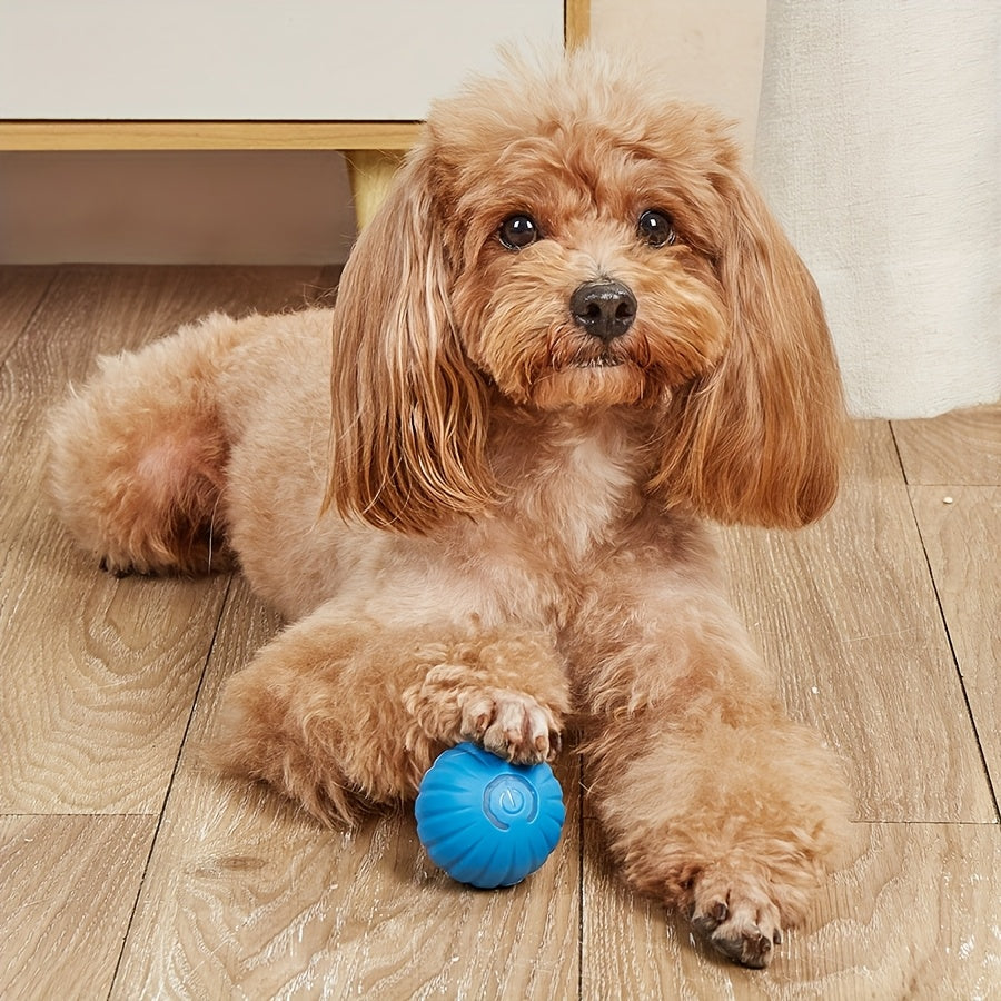 Automatic Rolling Ball Dog Toy - Interactive, USB Rechargeable, Durable Plastic | Blue & White, 1pc, for Small Dogs, Promotes Exercise