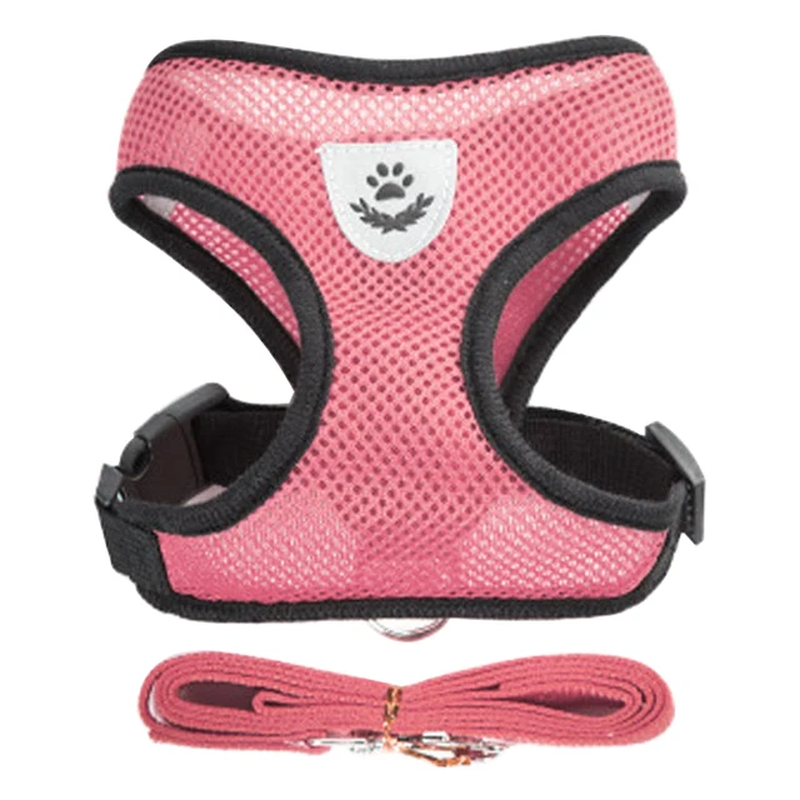 No-Escape Cat Harness & Leash Set – Soft, Secure & Adventure-Ready