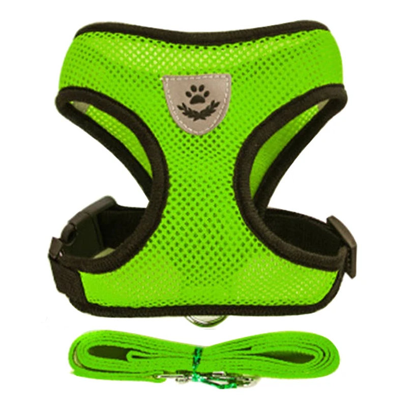 No-Escape Cat Harness & Leash Set – Soft, Secure & Adventure-Ready
