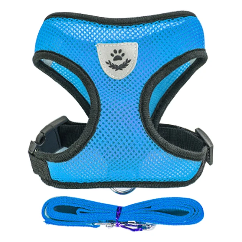 No-Escape Cat Harness & Leash Set – Soft, Secure & Adventure-Ready