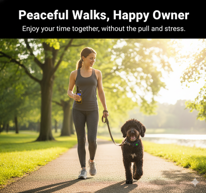 BarkGuard 2700™ – Long-Range Waterproof Dog Training Collar with Remote