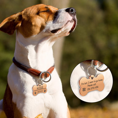 Personalized Dog Cat ID Tag