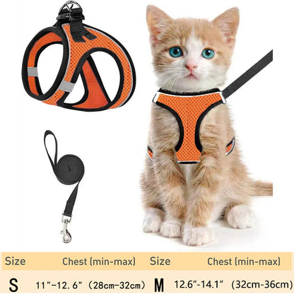Escape-Proof Cat Harness for Walking – Soft & Reflective