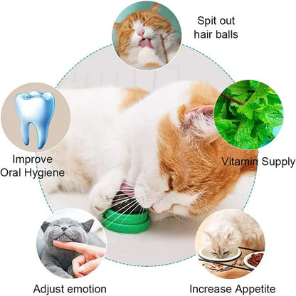 Petique Joy, petiquejoy.com, Natural Catnip Ball
