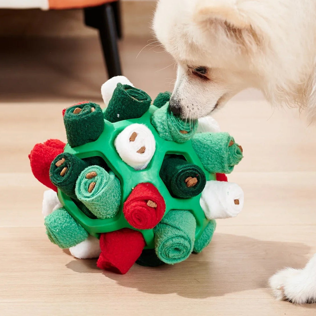 petique Joy, petiquejoy.com,Pet Sniffing Ball Gift Toy