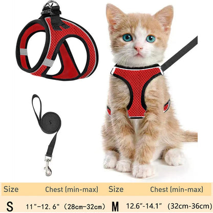 Escape-Proof Cat Harness for Walking – Soft & Reflective