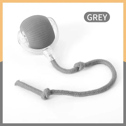 Smart Rolling Cat Toy
