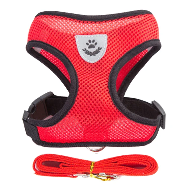 No-Escape Cat Harness & Leash Set – Soft, Secure & Adventure-Ready