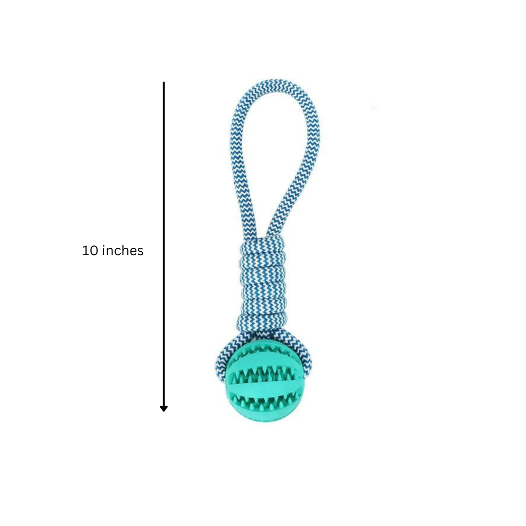 3 Pack Squeaky Toothbrush & Cotton Rope Ball Dog Toy