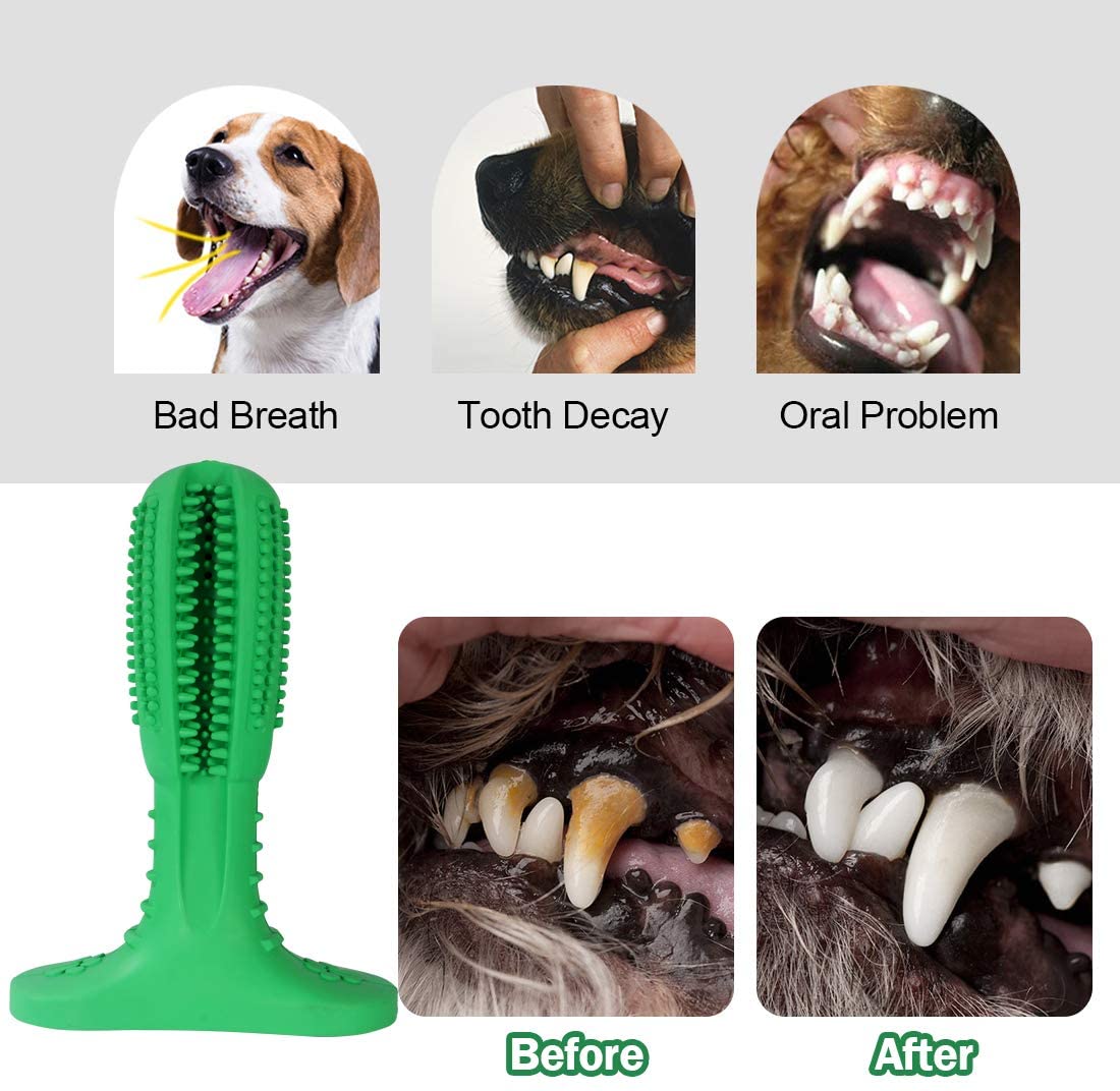 Natural Rubber Bite Resistant Dog Toothbrush Toy