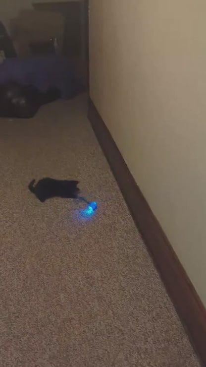 Smart Electric Cat Toy – Keeps Cats Active & Entertained