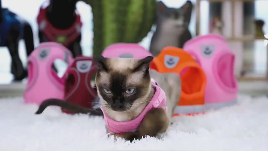 No-Escape Cat Harness & Leash Set – Soft, Secure & Adventure-Ready