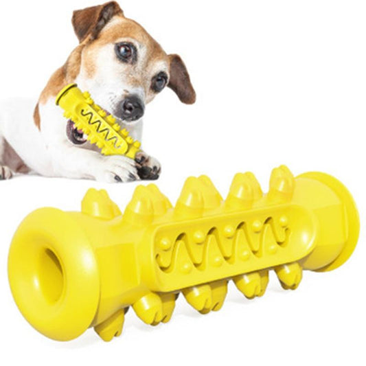 Chewing Toy for Dog