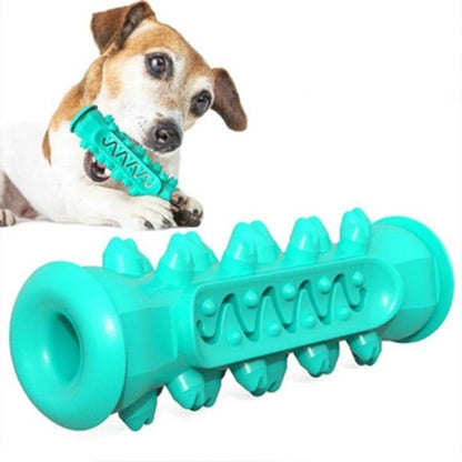 Chewing Toy for Dog